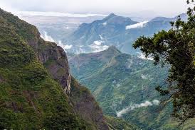 Silent Valley View Kodaikanal